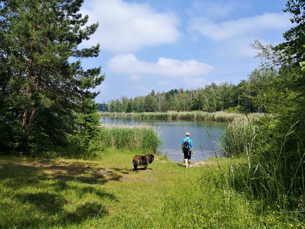 Ein Hund und ein Mann stehen an einem Seeufer.