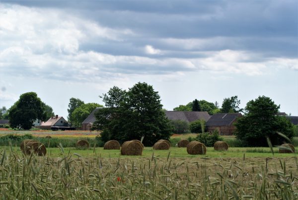 Ein Bauernhof zwischen Feldern.