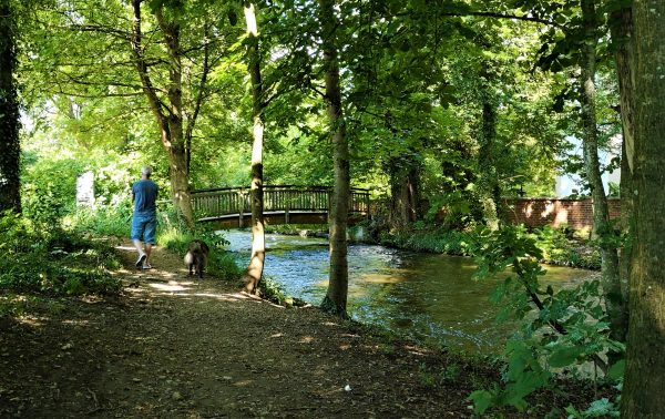 Ein Mann und sein Hund gehen an einem Fluss entlang.