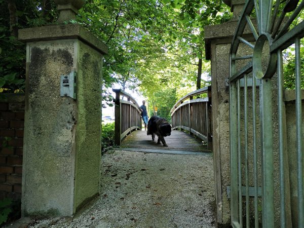 Ein Hund geht über eine Brücke.