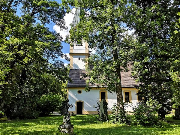Eine weiße Kirche mit gelben Streifen und einem spitzen Turm steht im Schatten alter Bäume.