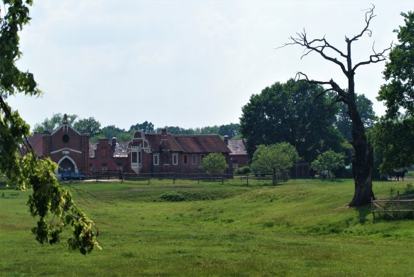 Ein Gestüt am Rande eines Parks.