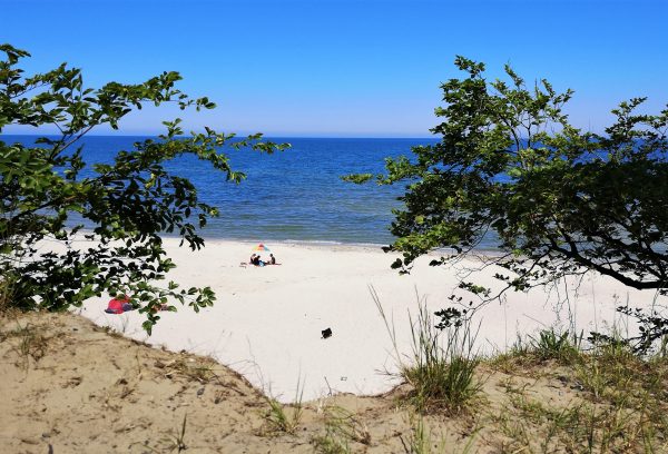 Menschen und ein Hund liegen am Strand.