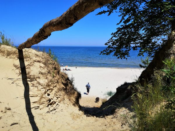 Ein Mann und sein Hund gehen durch Dünen zum Strand.