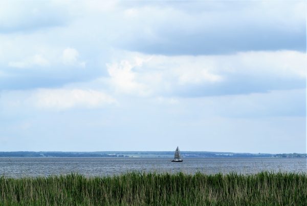 Ei Segelschiff kreuzt auf dem Achterwasser.