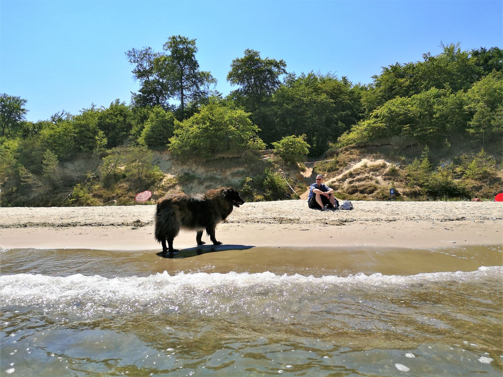 Ein Mann und sein Hund am Strand.