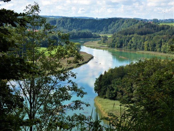 Aussicht auf eine Flussschleife, die von Wald umgeben ist.