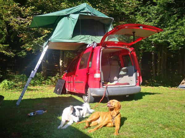 Urlaub mit Hund Natura Eco Camp