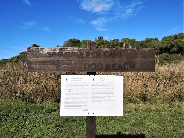 Ein Hinweisschild erläutert die Regeln, die am Hundestrand von Marina di Castagneto Carducci gelten.