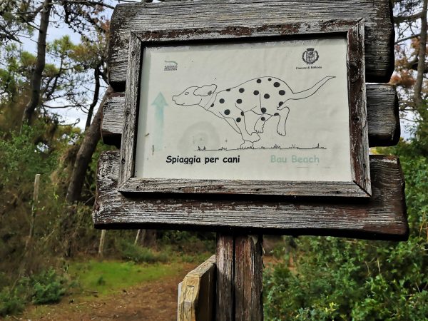 Ein Schild weist den Weg zum Hundestrand.