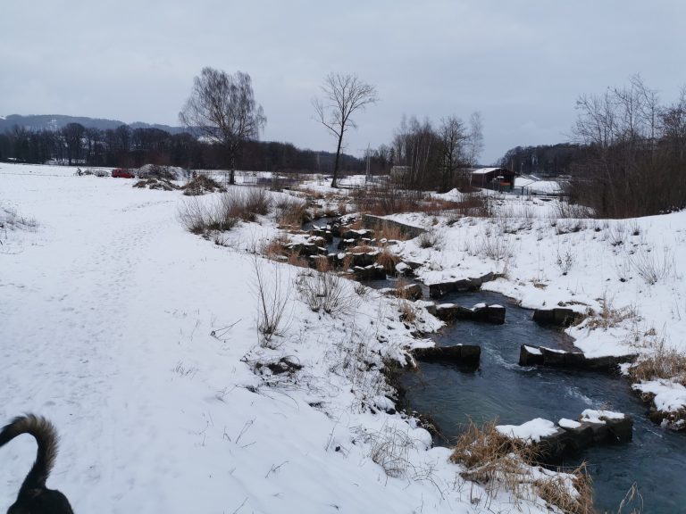 Wandern mit Hund: Bei Gars am Inn entlang