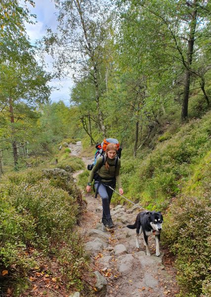 Eine Frau mit großem Rucksack und Hund im Zuggeschirr geht einen felsigen Weg durch den Wald entlang
