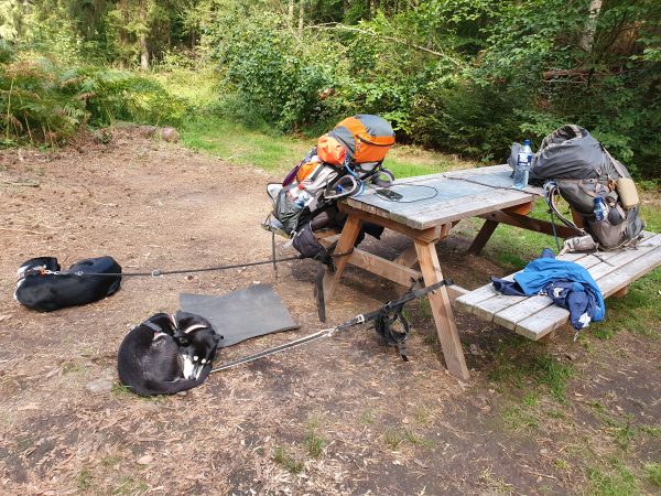Pause beim Dogtrekking: Das Gepäck ist auf einem Picknicktisch abgestellt, daneben schlafen zwei Hunde