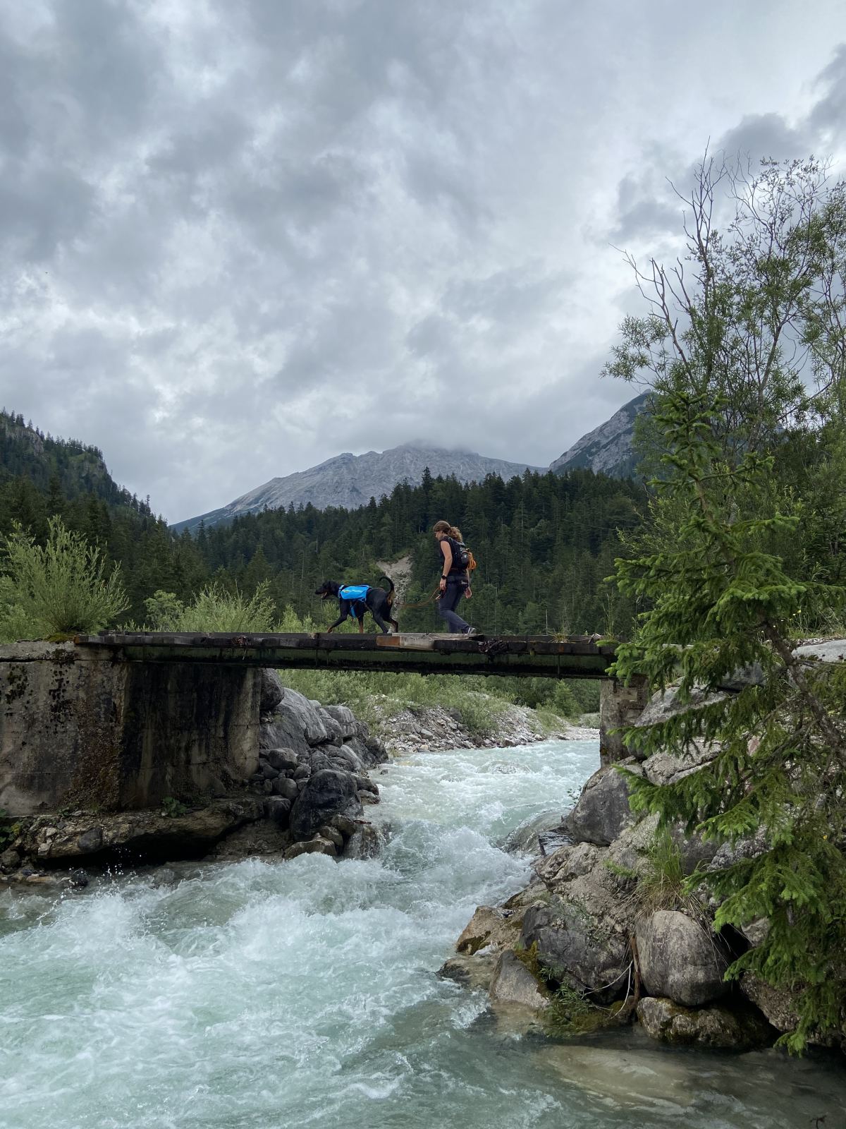 Eine Frau und ihr Dobermann überqueren an einem nebligen Tag eine schmale Brücke über einen wild sprudelnden Bach