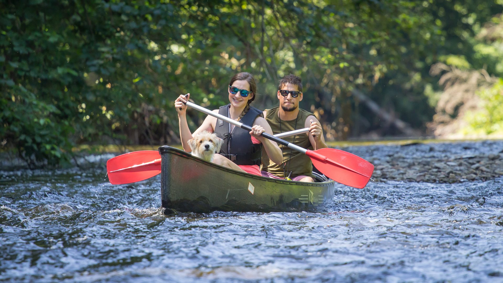 Ein Paar fährt auf einem Fluss Kanu. Vorne im Boot sitzt ein kleiner Hund.