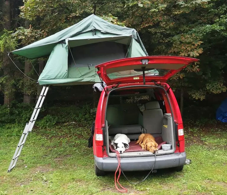 Car Camping mit Hund im Auto übernachten