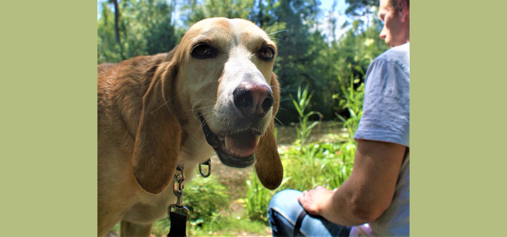 Die Schmecker-Hündin Moya in Nahaufnahme