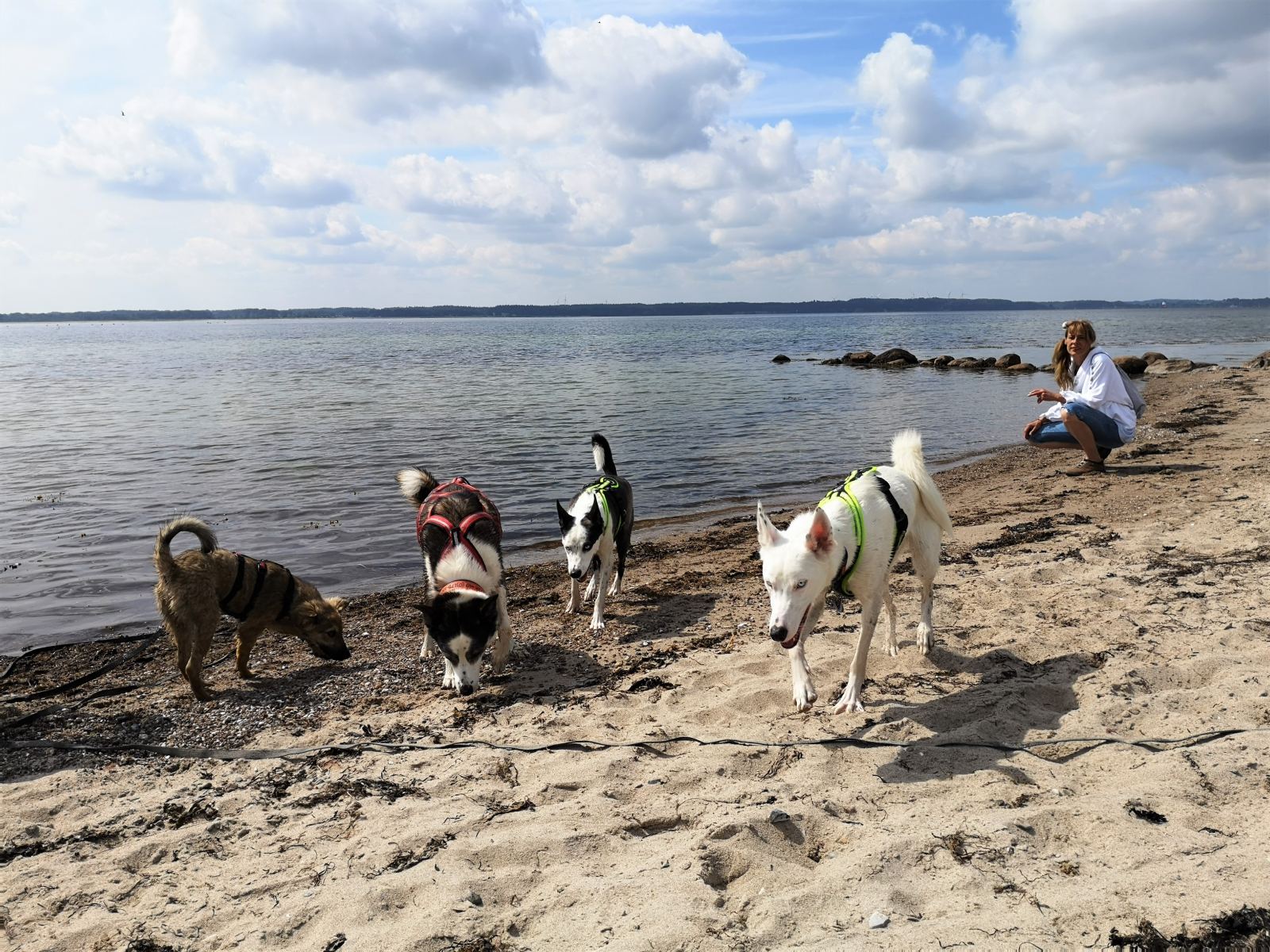 Karlsminde, Ostsee: wilder Strand und See