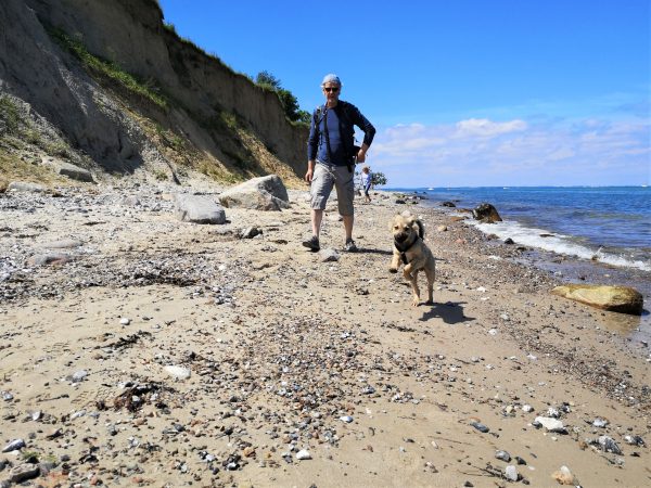 TopZiele für Urlaub mit Hund am Meer