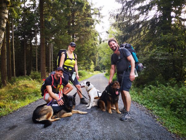 Drei Menschen und drei Hunde auf einem Wanderweg im Wald