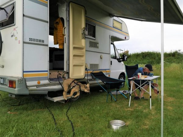 Ein Hund spring taus einem Wohnmobil. Davor sitzt ein mann am Campingtisch.