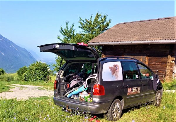 Ein zusammengeklappter Buggy im Kofferraum eines Autos.