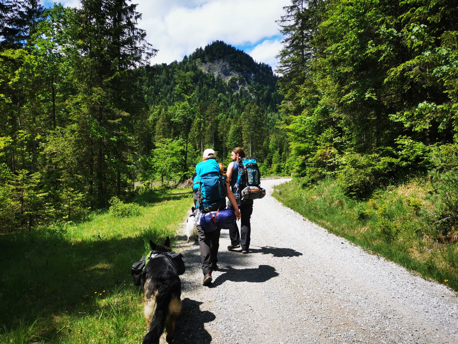 Zwei Menschen mit Mehrtages-Rucksäcken wandern über einen Feldweg. Daneben läuft ein Schäferhund, ebenfalls mit Rucksack.