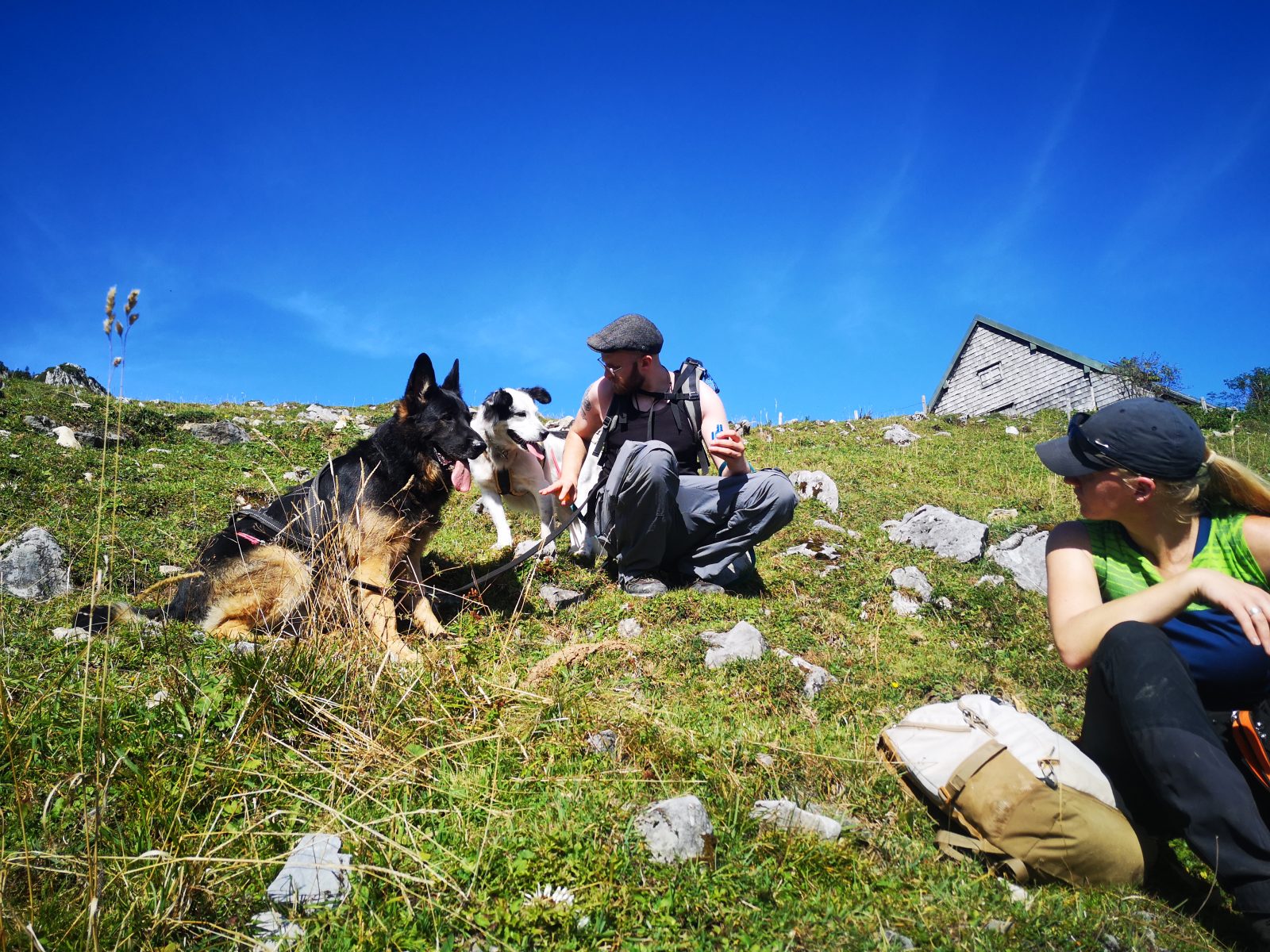 Zwei Menschen mit zwei Hunden sitzen im strahlenden Sonnenschein auf einer Almwiese und machen Pause.