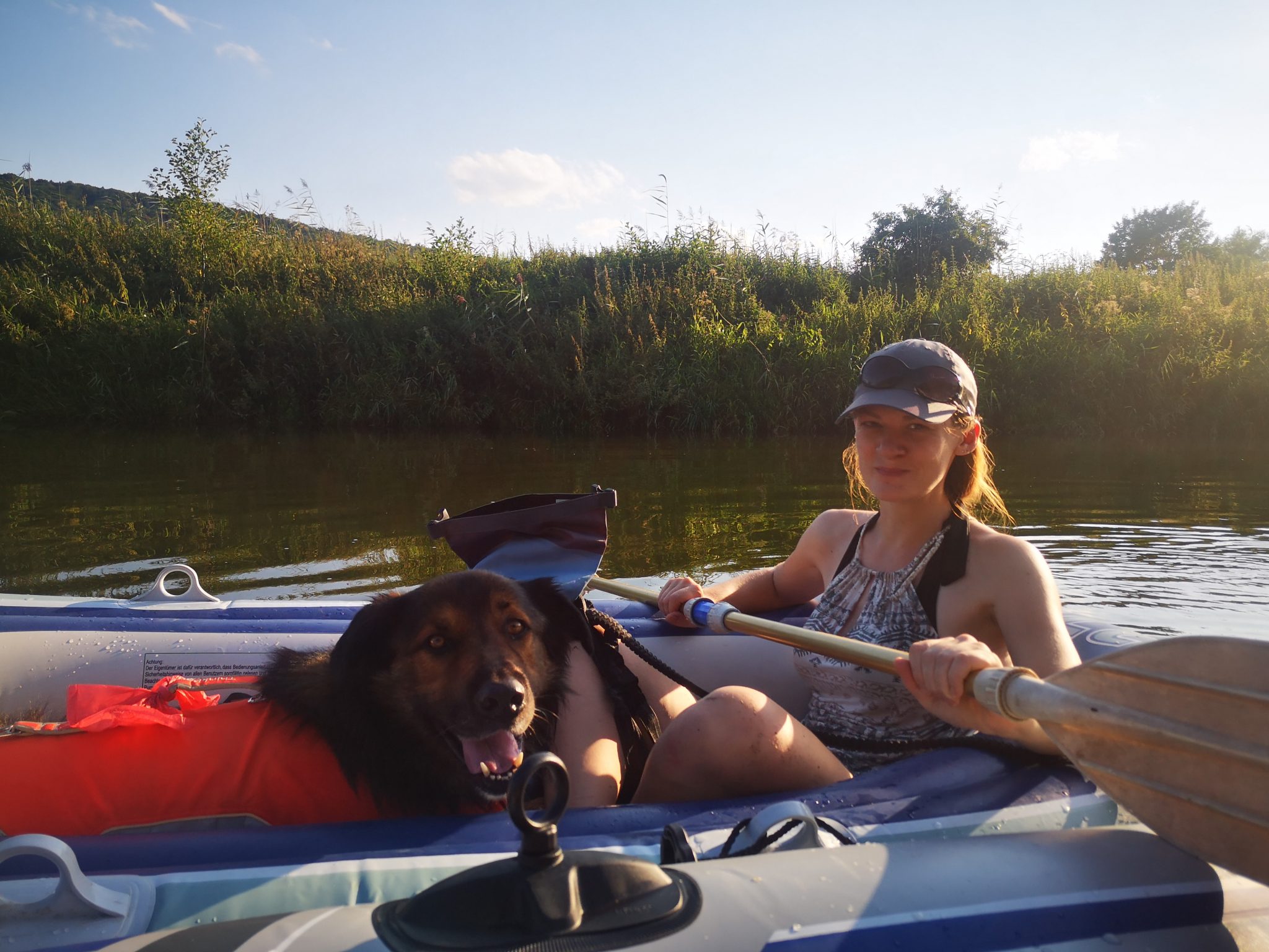 Altmhltal mit Hund genieen