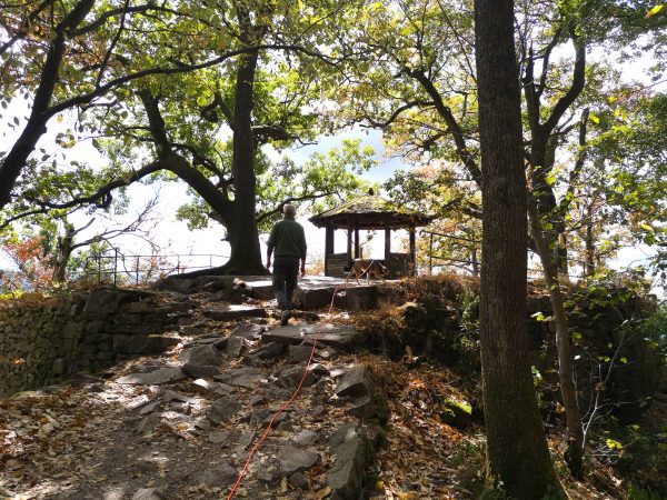 Ritterplatte Battert Hund