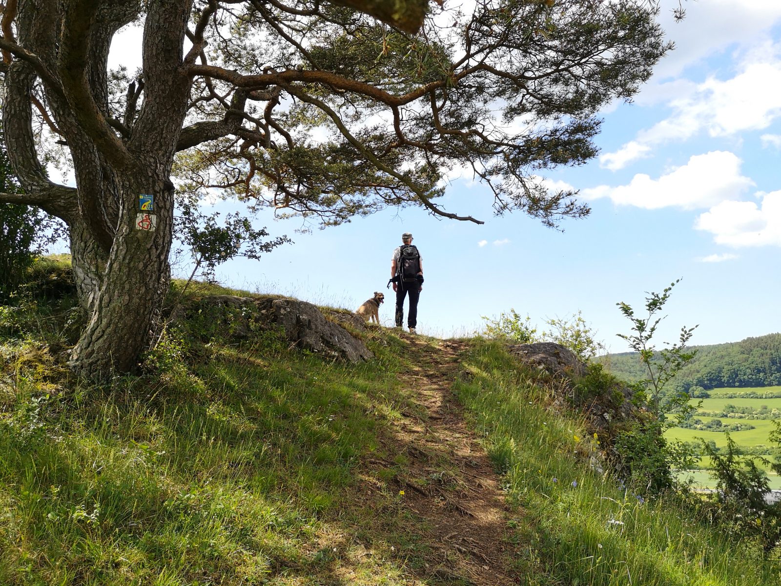 Ein Mann mit Hund steht auf einem Hügel im Altmühltal. Im Hintergrund blauer Himmel.