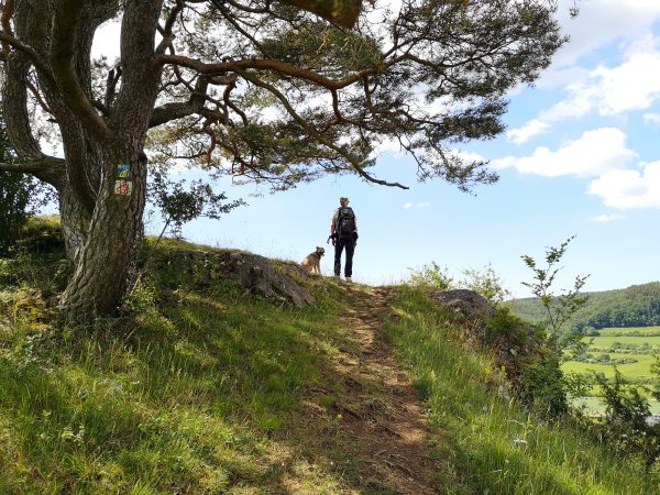Ein Mann mit Hund steht auf einem Hügel im Altmühltal. Im Hintergrund blauer Himmel.