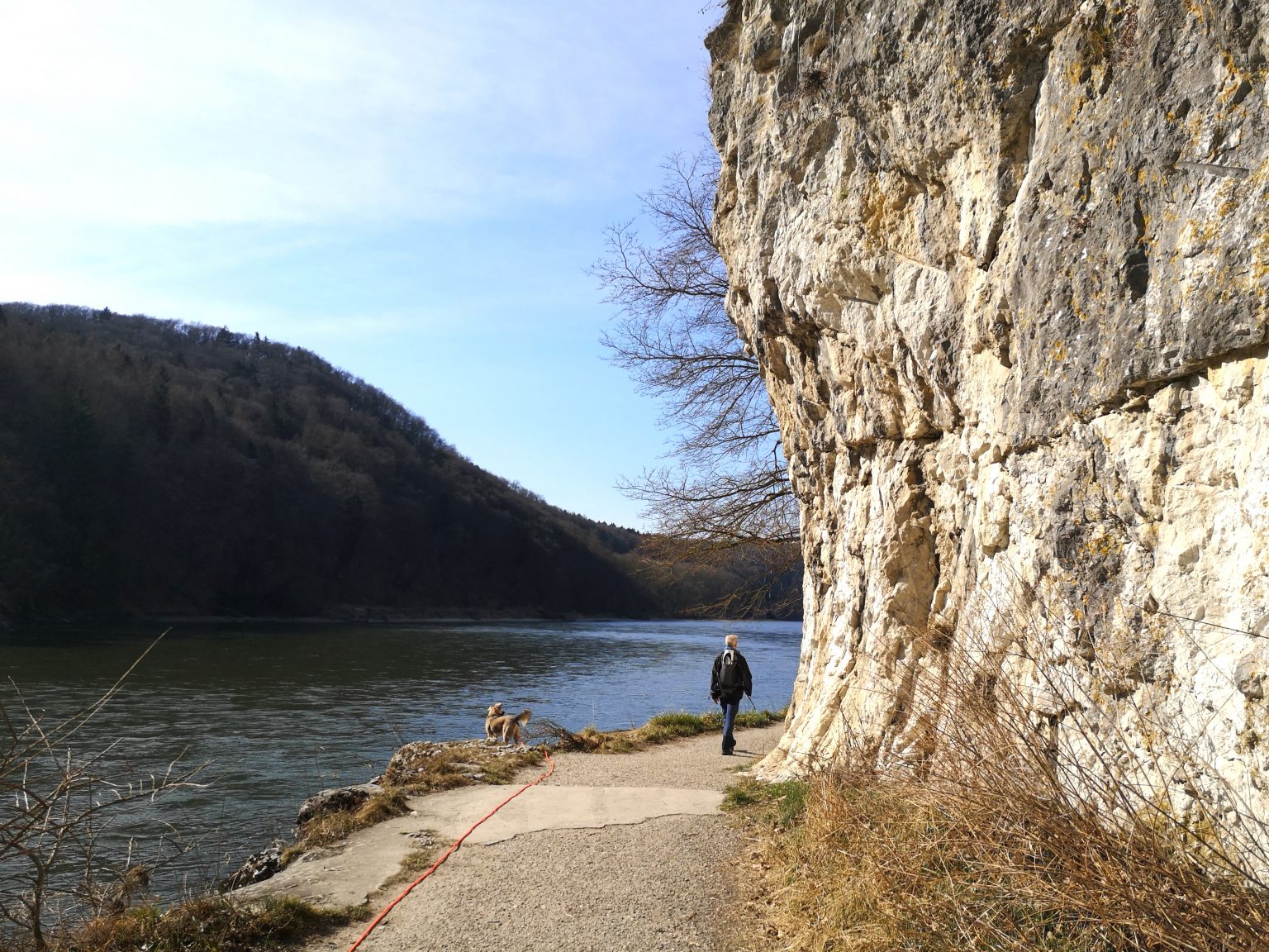 altm-hltal-mit-hund-genie-en